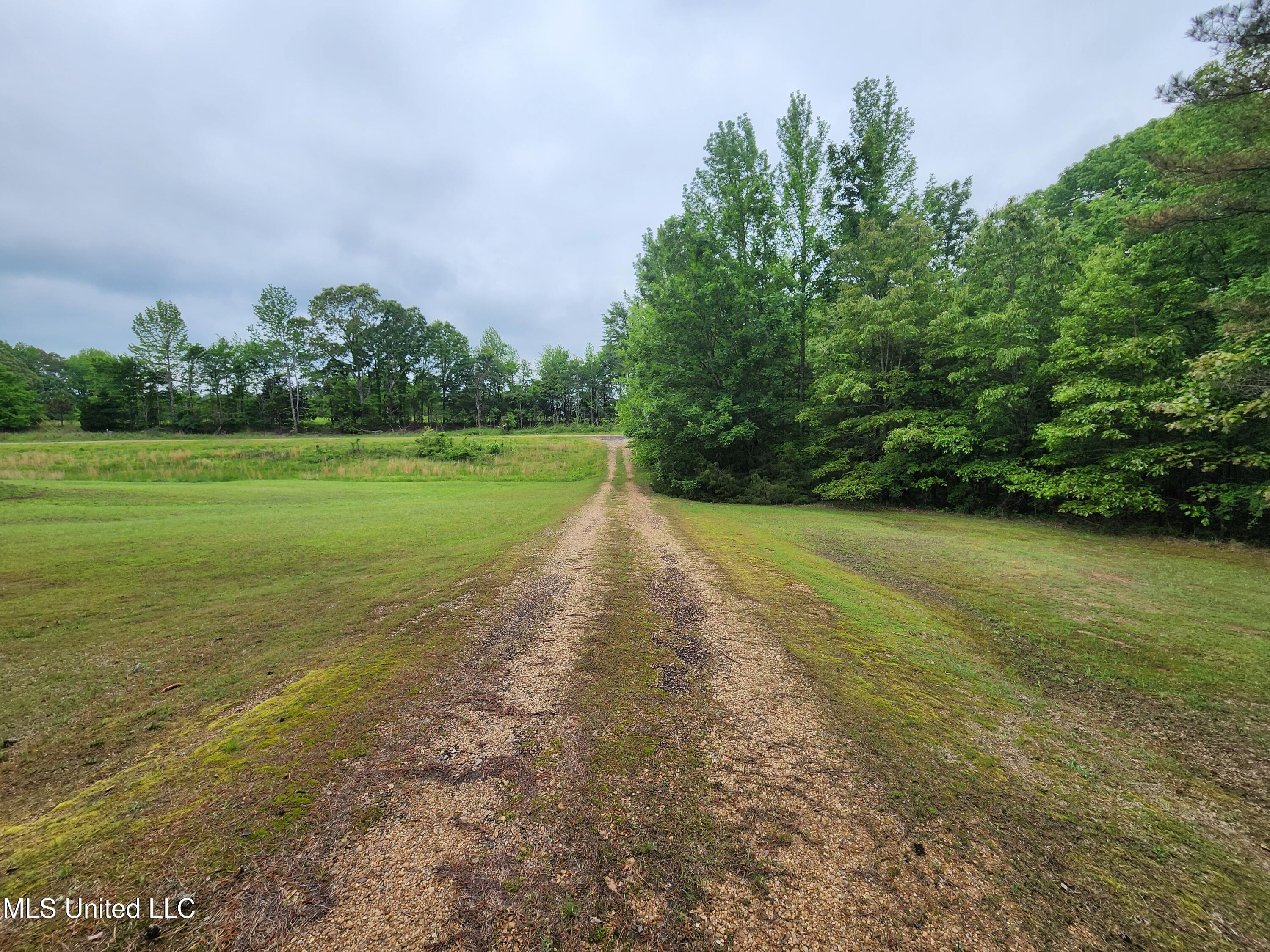 Harris Chapel Road Senatobia, MS 38668 - Photo 3 of 18 20250426_131452