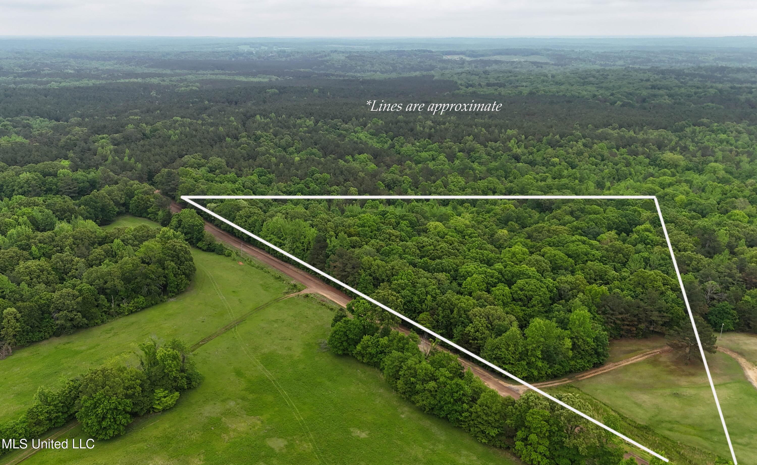 Harris Chapel Road Senatobia, MS 38668 - Photo 4 of 18 DJI_20250426125422_0369