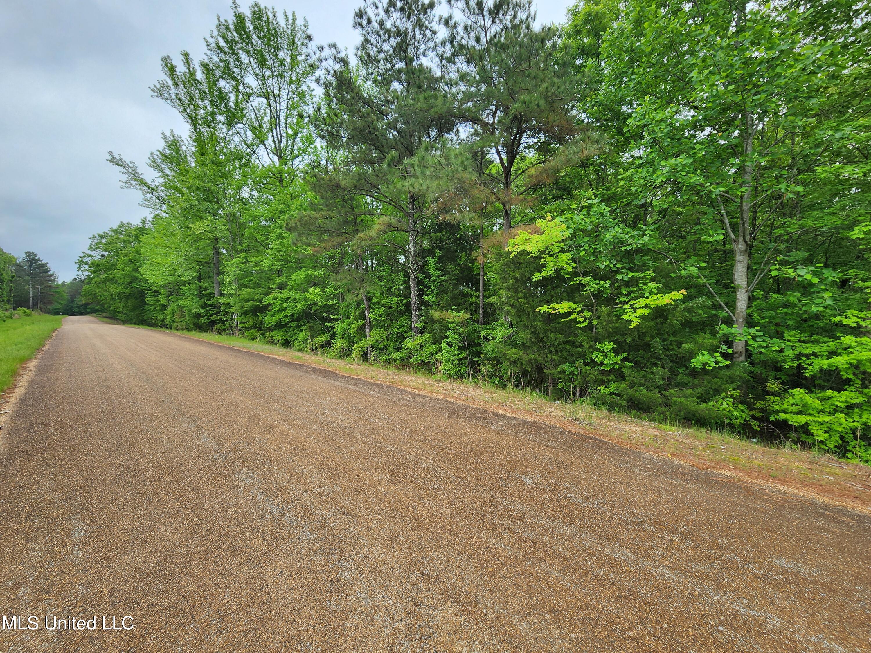 Harris Chapel Road Senatobia, MS 38668 - Photo 5 of 18 20250426_124942