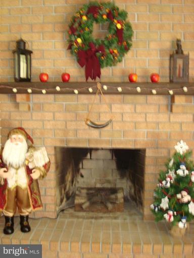 1813 Emory Road Reisterstown, MD 21136 - Photo 3 of 18 Cozy fireplace in Living Room