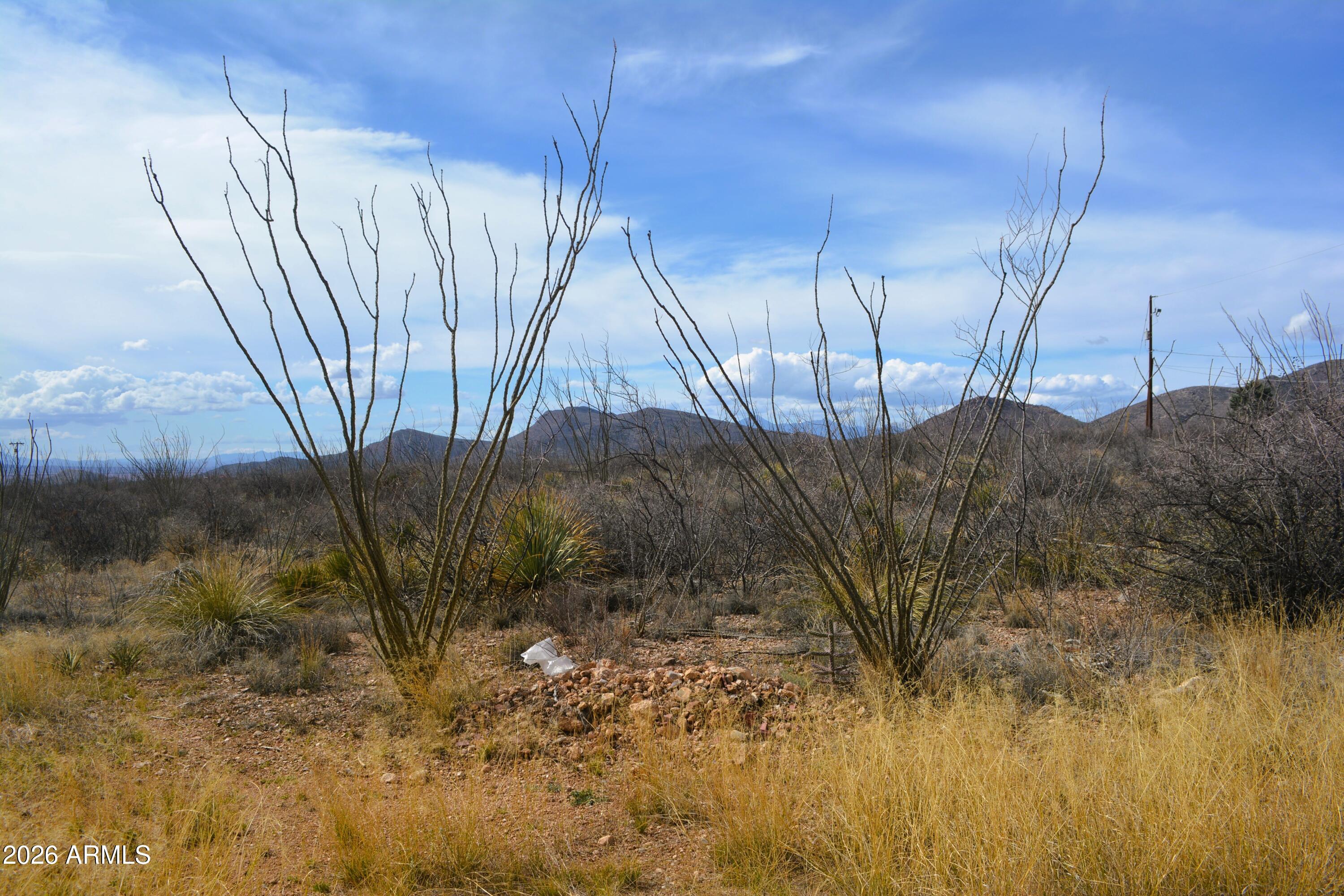 994 South Coy Street Bisbee, AZ 85603 - Photo 39 of 39 a view of a backyard
