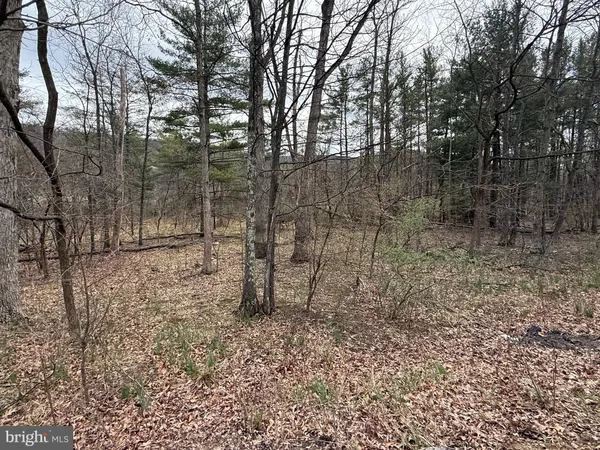 $79,900 | Timberlake Estates, New Creek, WV 26743