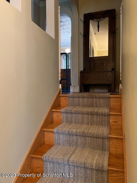 506 Old Colony Road Clarks Summit, PA 18411 - Photo 18 of 38 Gallery Image 18