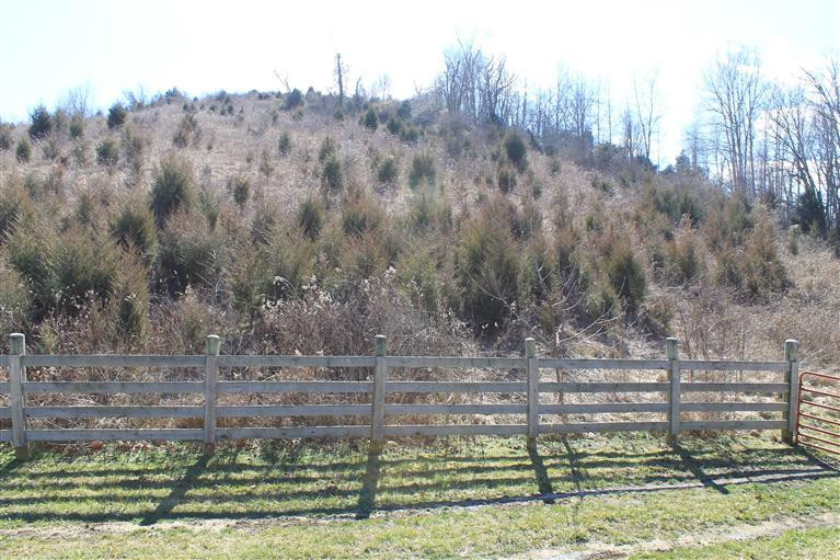 1 Nina Ridge Road Lancaster, KY 40444 - Photo 53 of 56 Photo 54