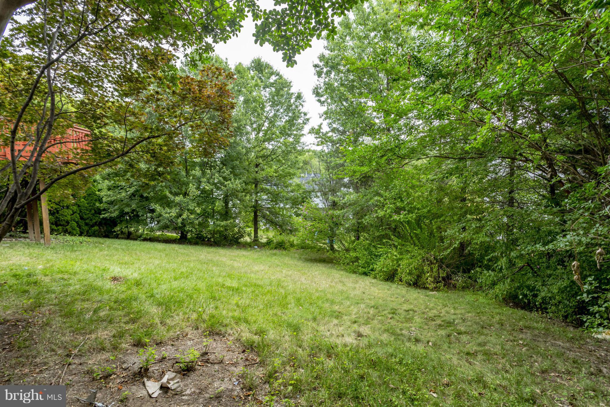 6153 Cobbs Road Alexandria, VA 22310 - Photo 29 of 29 Exterior (Rear)