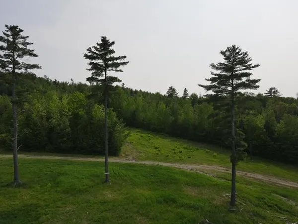 $79,000 | Lot 1 Mt Jefferson Heights, Lee, ME 04455