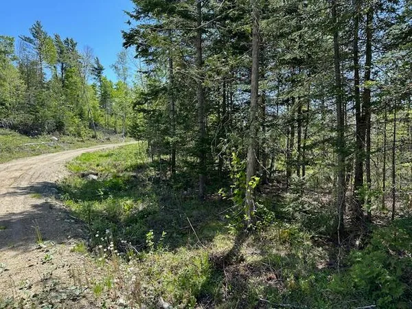 $79,000 | Lot 1 Mt Jefferson Heights, Lee, ME 04455