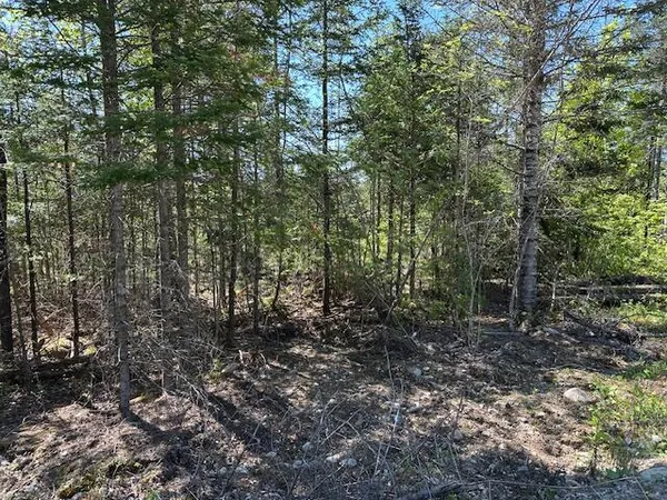 $79,000 | Lot 1 Mt Jefferson Heights, Lee, ME 04455