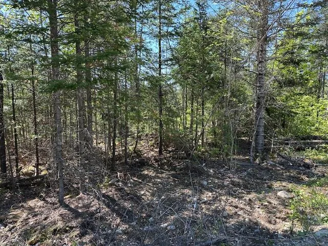 $79,000 | Lot 1 Mt Jefferson Heights, Lee, ME 04455