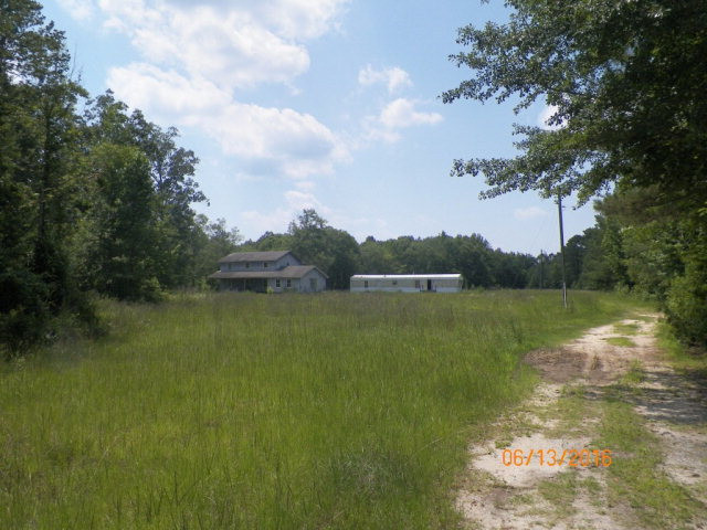 Main View