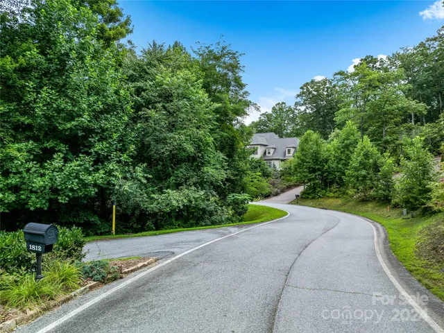 a view of a park with plants and trees