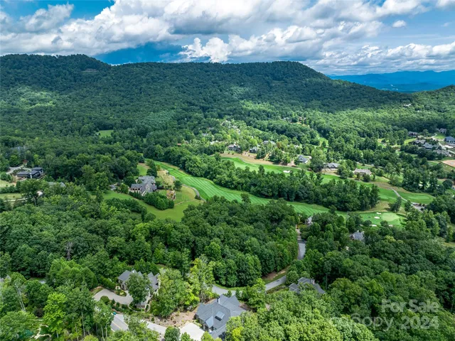 a view of a lush green forest with lots of trees