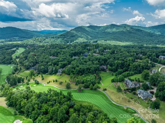 a view of a lush green forest with lots of trees