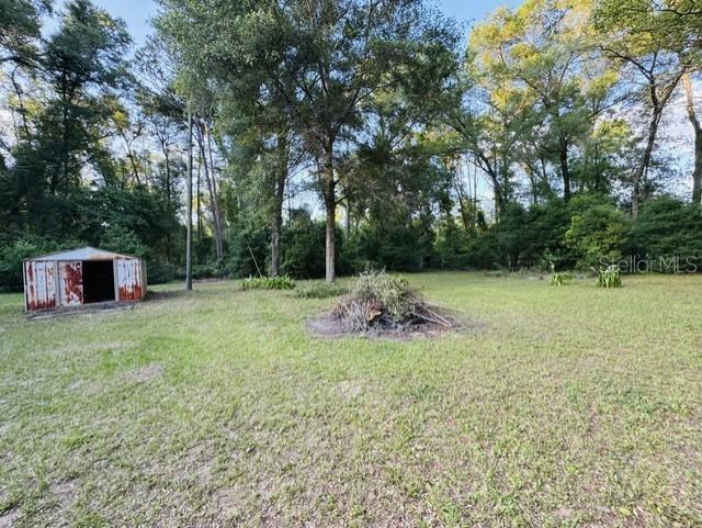 11817 Southwest 58th Street Webster, FL 33597 - Photo 39 of 46 a view of a backyard with a garden and trees