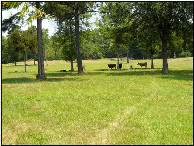 11 Midway Road Terry, MS 39170 - Photo 2 of 9 Photo 2