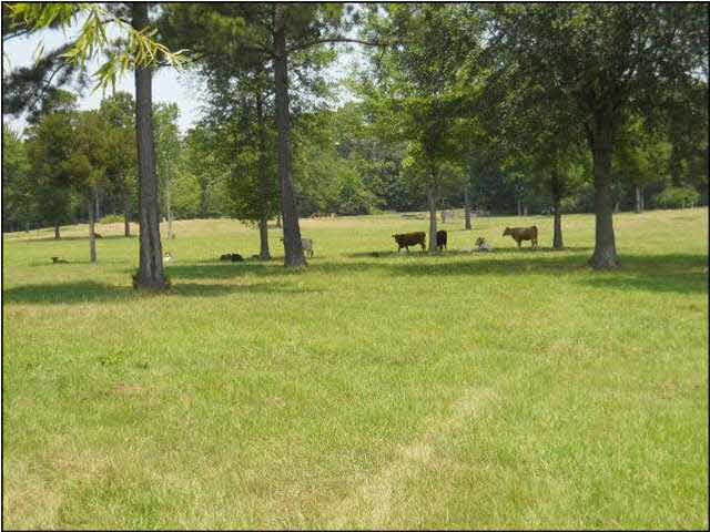 11 Midway Road Terry, MS 39170 - Photo 5 of 9 Photo 5