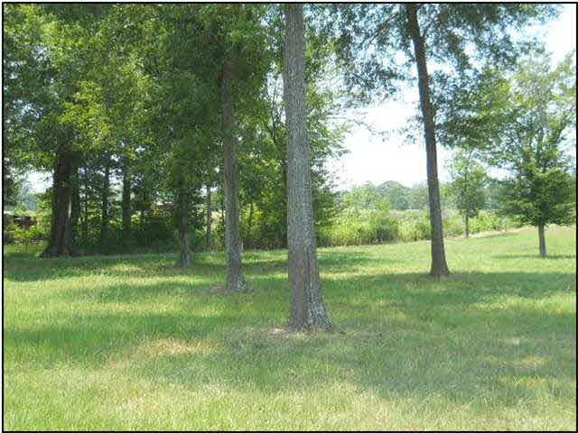 11 Midway Road Terry, MS 39170 - Photo 6 of 9 Photo 6