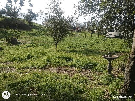 7824 Bollea Road Clements, CA 95227 - Photo 3 of 7 a view of a garden with a bench