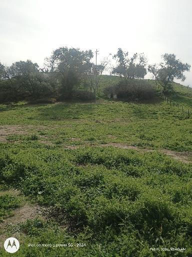 7824 Bollea Road Clements, CA 95227 - Photo 5 of 7 a view of outdoor space and yard