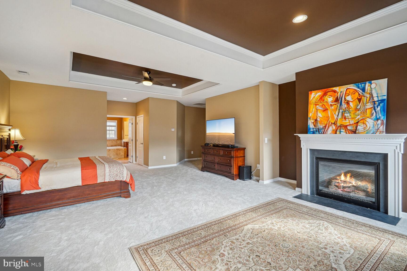 9323 Castle Hill Road Springfield, VA 22153 - Photo 24 of 66 Gas Logs in Sitting Area