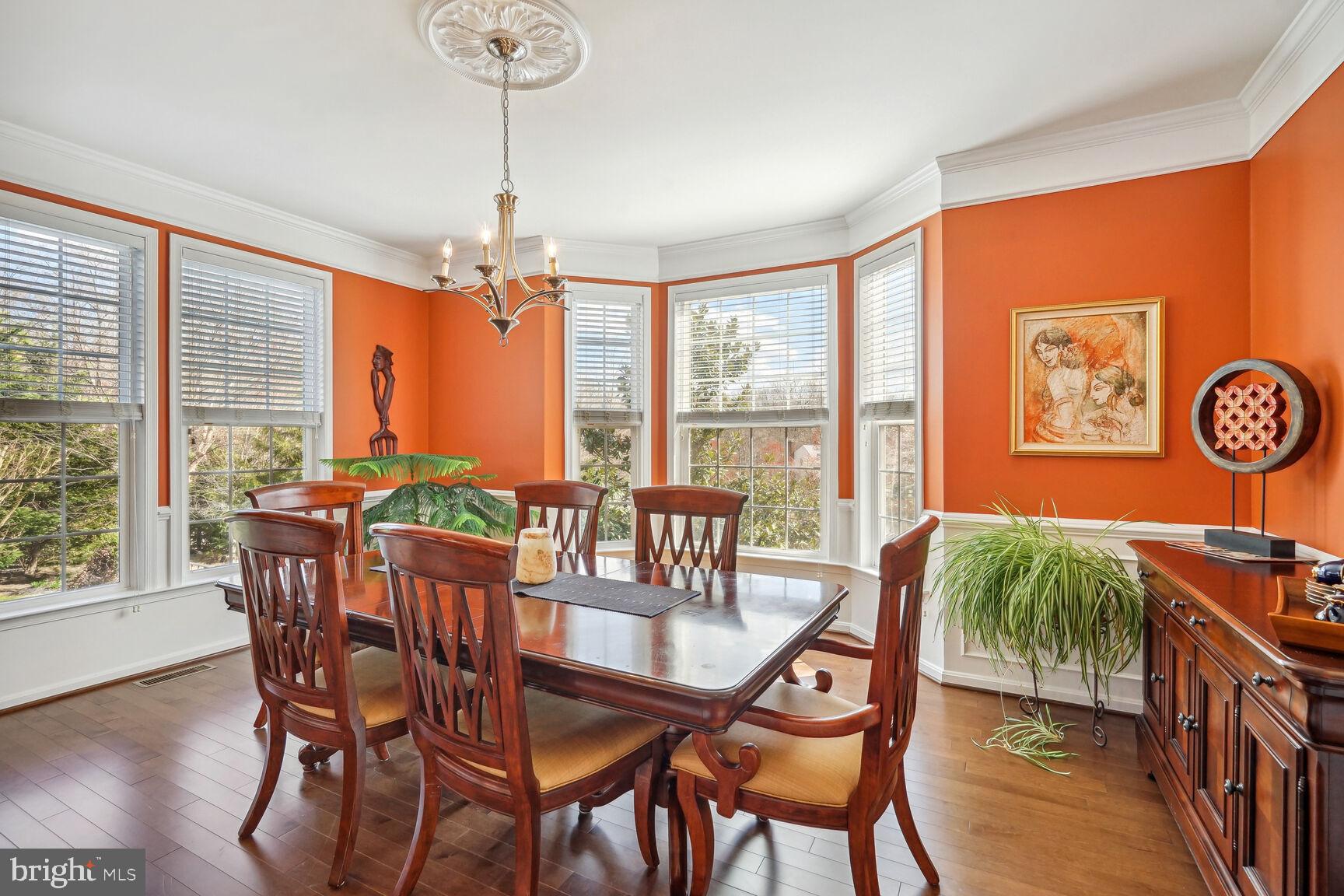 9323 Castle Hill Road Springfield, VA 22153 - Photo 5 of 66 Views of Fountain from DR