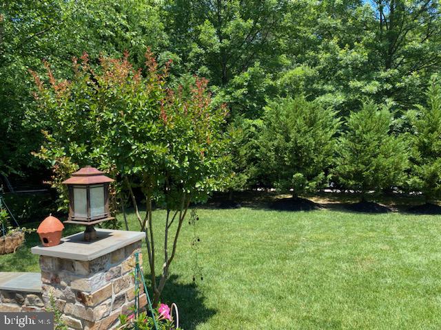 9323 Castle Hill Road Springfield, VA 22153 - Photo 53 of 66 Lush Backyard
