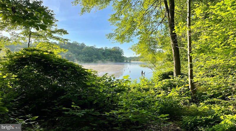 9323 Castle Hill Road Springfield, VA 22153 - Photo 60 of 66 Lake Mercer Loop Trail