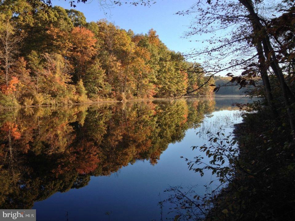 9323 Castle Hill Road Springfield, VA 22153 - Photo 61 of 66 Burke Lake nearby