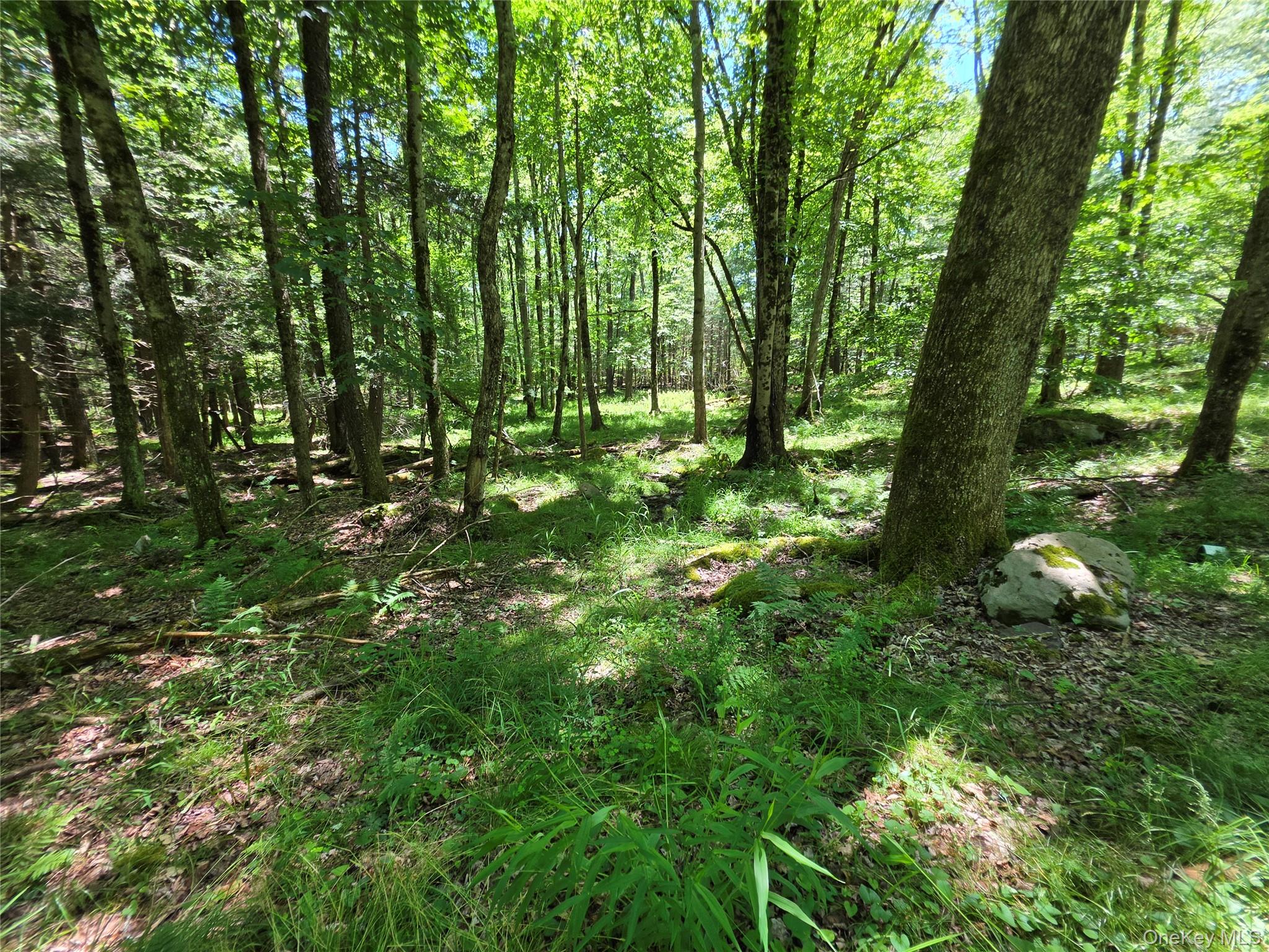 Tbd Camp Kennybrook Road Monticello, NY 12701 - Photo 5 of 34