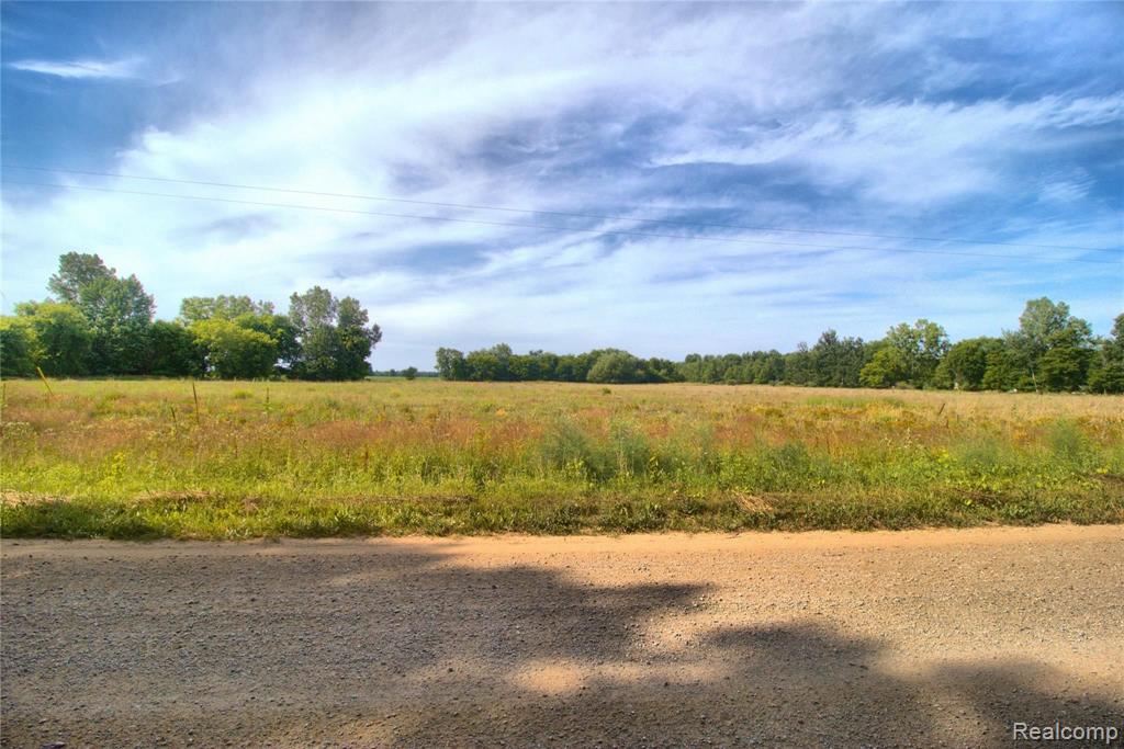0 Washington Road Carsonville, MI 48419 - Photo 1 of 4