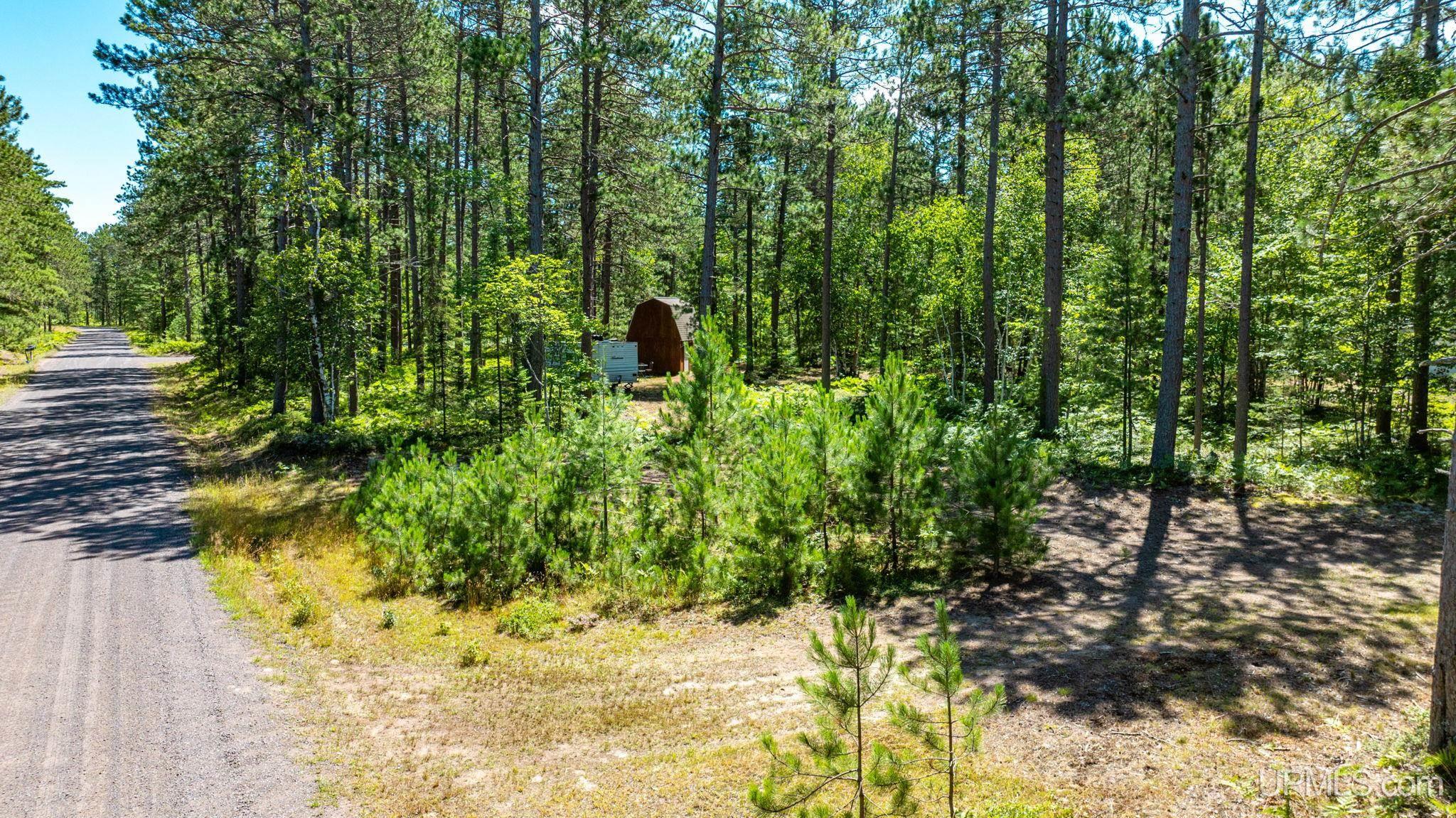 Lot 62 Little Rice Lake Road Lake Linden, MI 49945 - Photo 7 of 52 Gallery Image 7