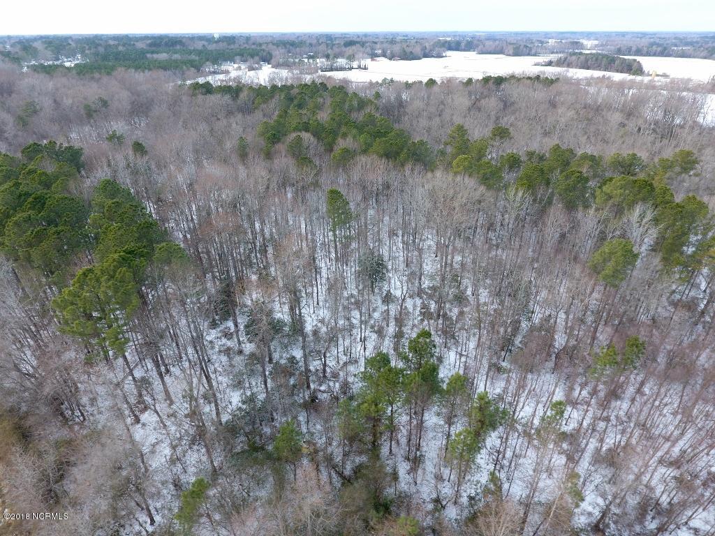 26.89 Bynum Farm Road Pinetops, NC 27864 - Photo 1 of 43 Main