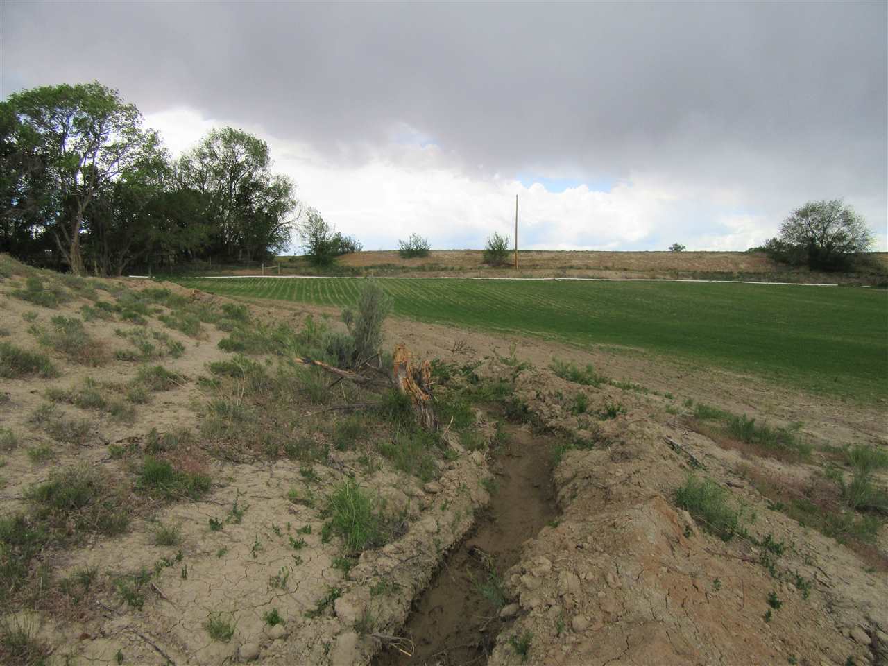 1876 6 Road Mack, CO 81525 - Photo 7 of 13 Gallery Image 7