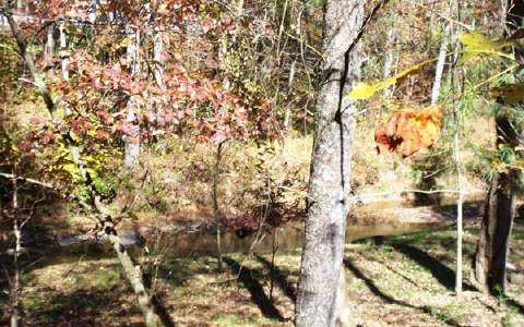 1077 Johnson Mill Road Ellijay, GA 30536 - Photo 1 of 1 Main View