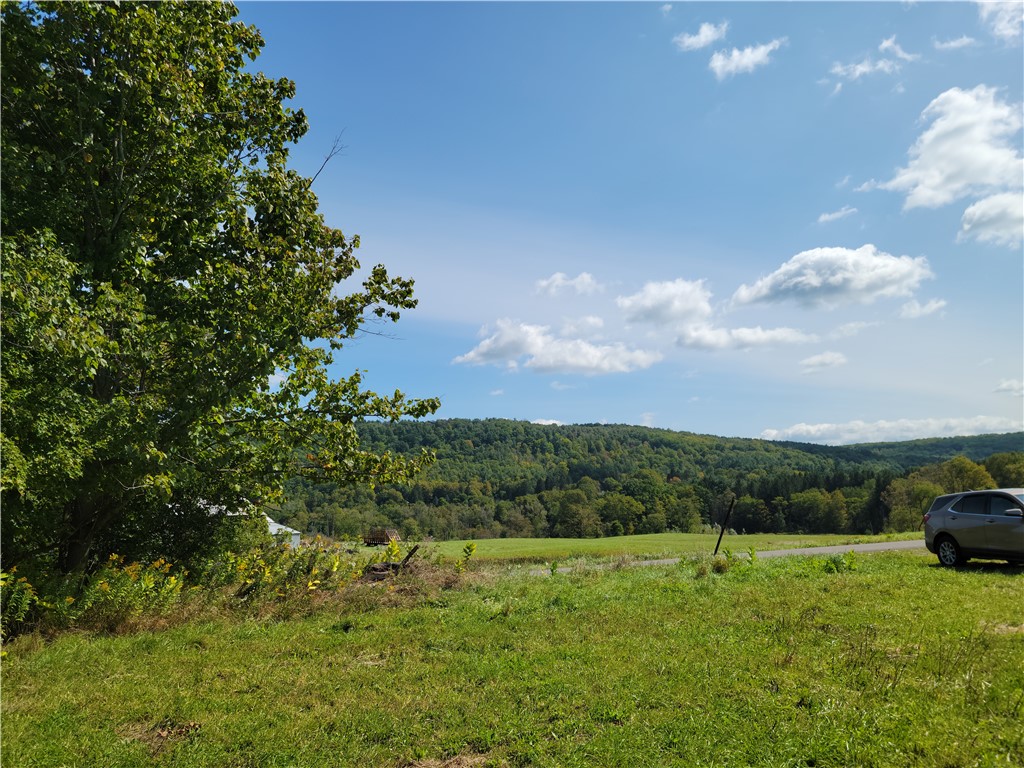 0 Fairgrounds Road West Prattsburgh, NY 14873 - Photo 1 of 1