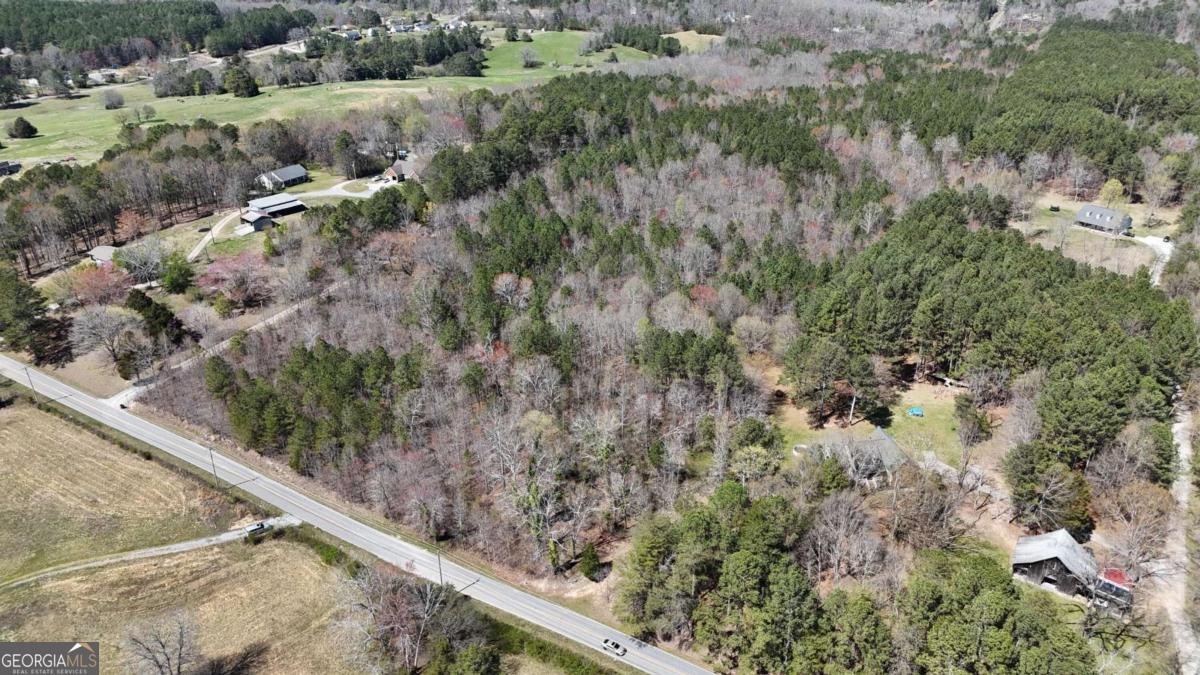 0 Temperance Hall Road Rock Spring, GA 30739 - Photo 2 of 7