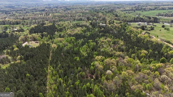 an aerial view of residential houses with outdoor space and trees