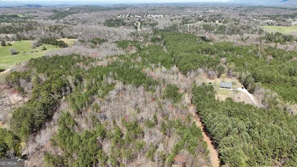 an aerial view of residential houses with outdoor space and trees
