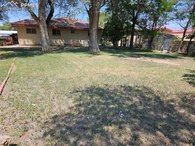 a view of a backyard with large trees and wooden fence