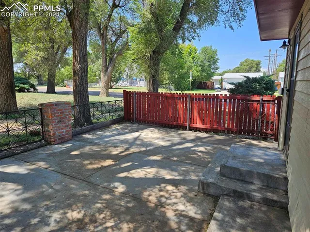 a view of a park with large trees