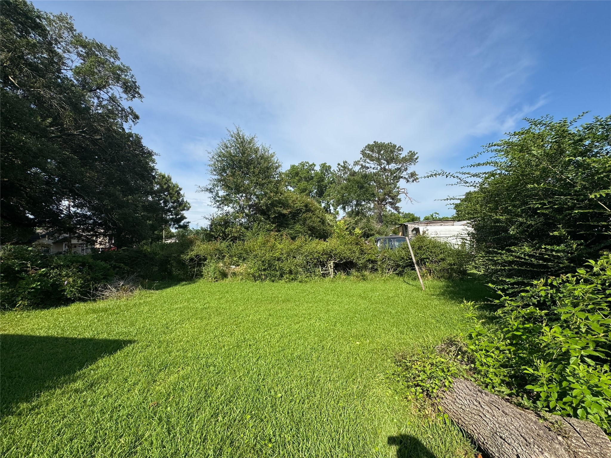 416 Baker Circle Ames, TX 77575 - Photo 9 of 9 a backyard of a house with lots of green space