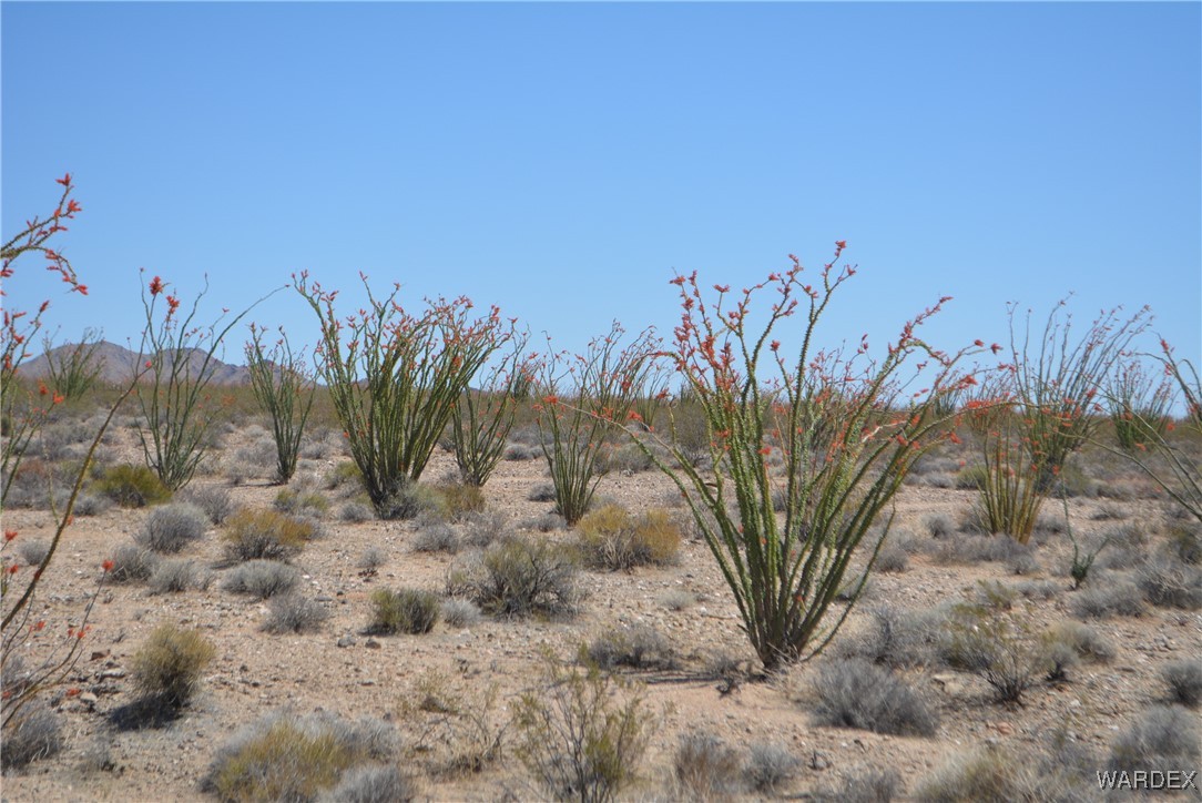 245-24-107 South Rainbow Road Yucca, AZ 86438 - Photo 87 of 91