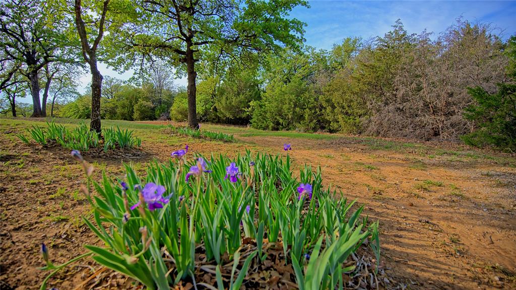 Tbd Storey Road Nocona, TX 76255 - Photo 5 of 29