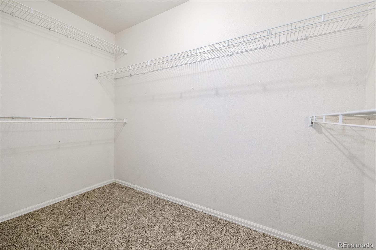 2188 Grain Bin Windsor, CO 80550 - Photo 14 of 30 a view of a room with empty racks
