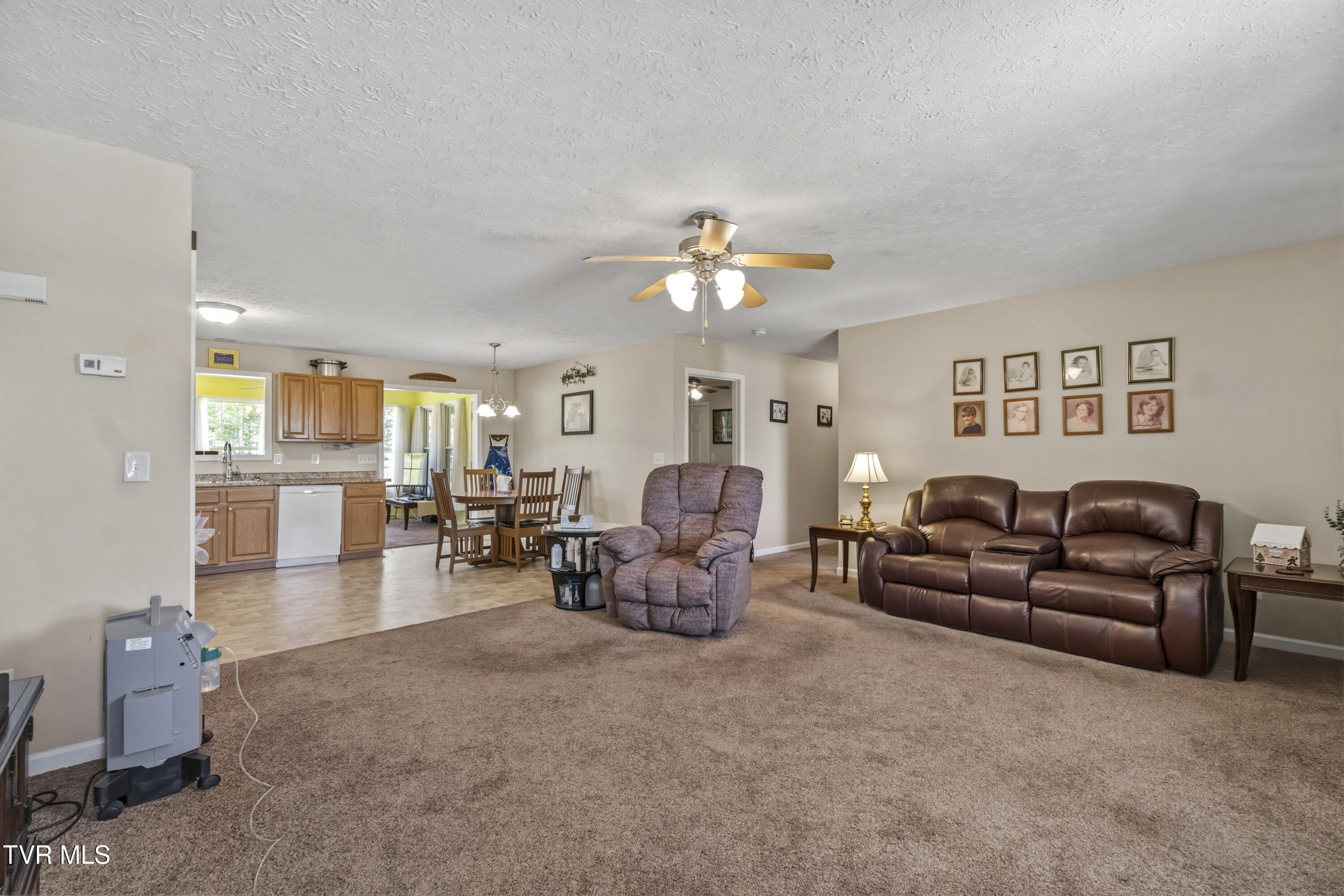 58 Fairview Ridges Drive Afton, TN 37616 - Photo 10 of 50 DSC03271