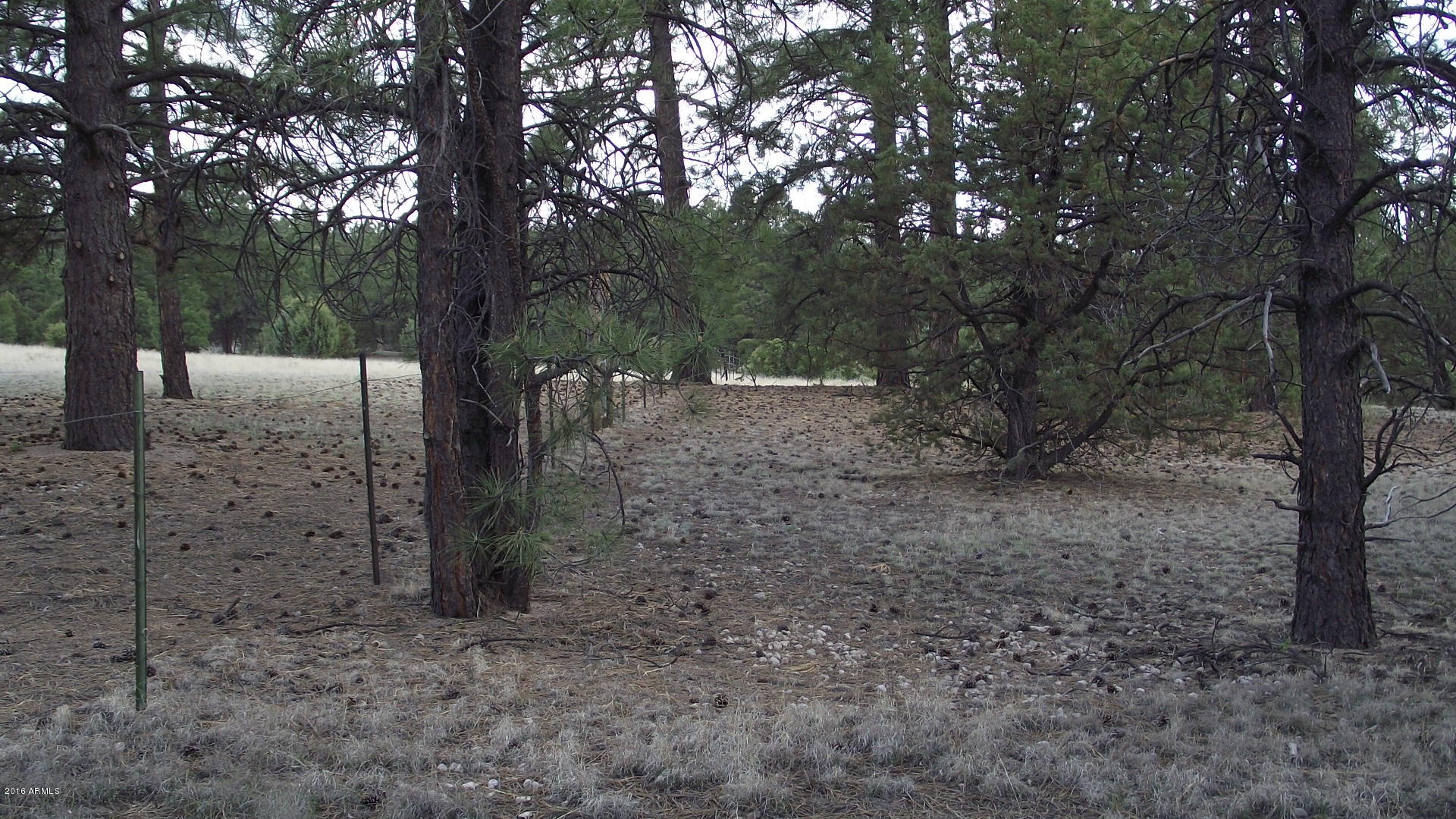 1804 West Rupe Tank Road Williams, AZ 86046 - Photo 1 of 14 DSCF8694