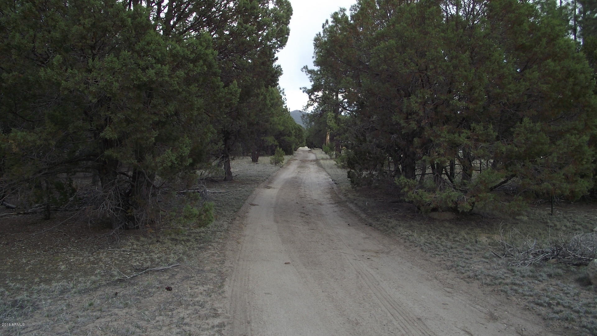 1804 West Rupe Tank Road Williams, AZ 86046 - Photo 12 of 14 DSCF8692
