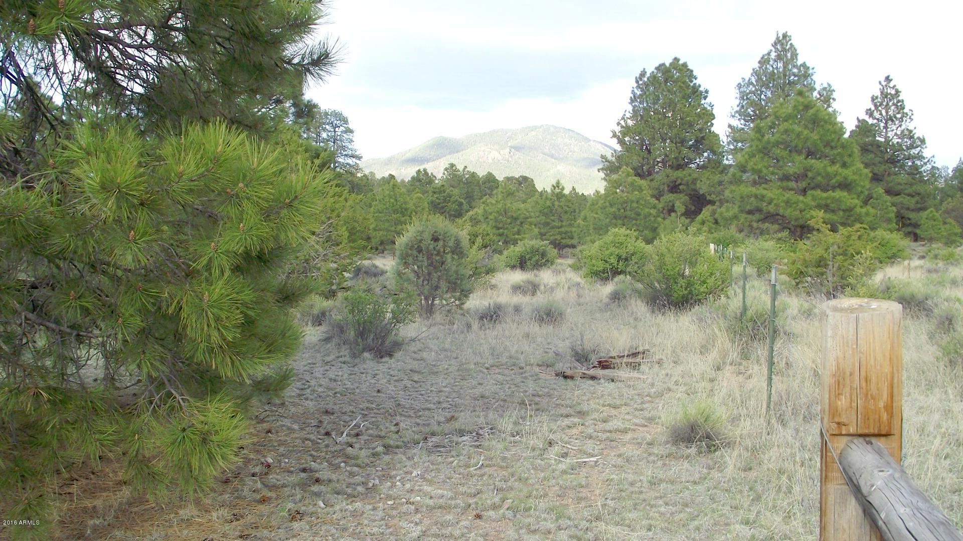 1804 West Rupe Tank Road Williams, AZ 86046 - Photo 3 of 14 DSCF8686