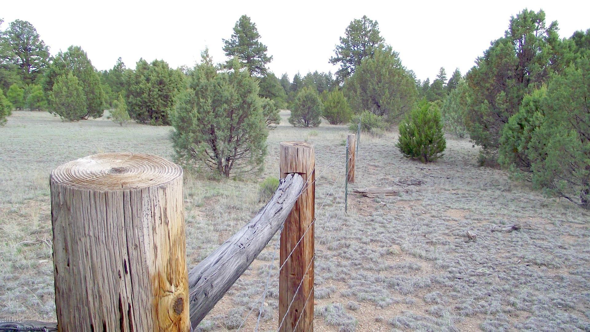 1804 West Rupe Tank Road Williams, AZ 86046 - Photo 4 of 14 DSCF8682