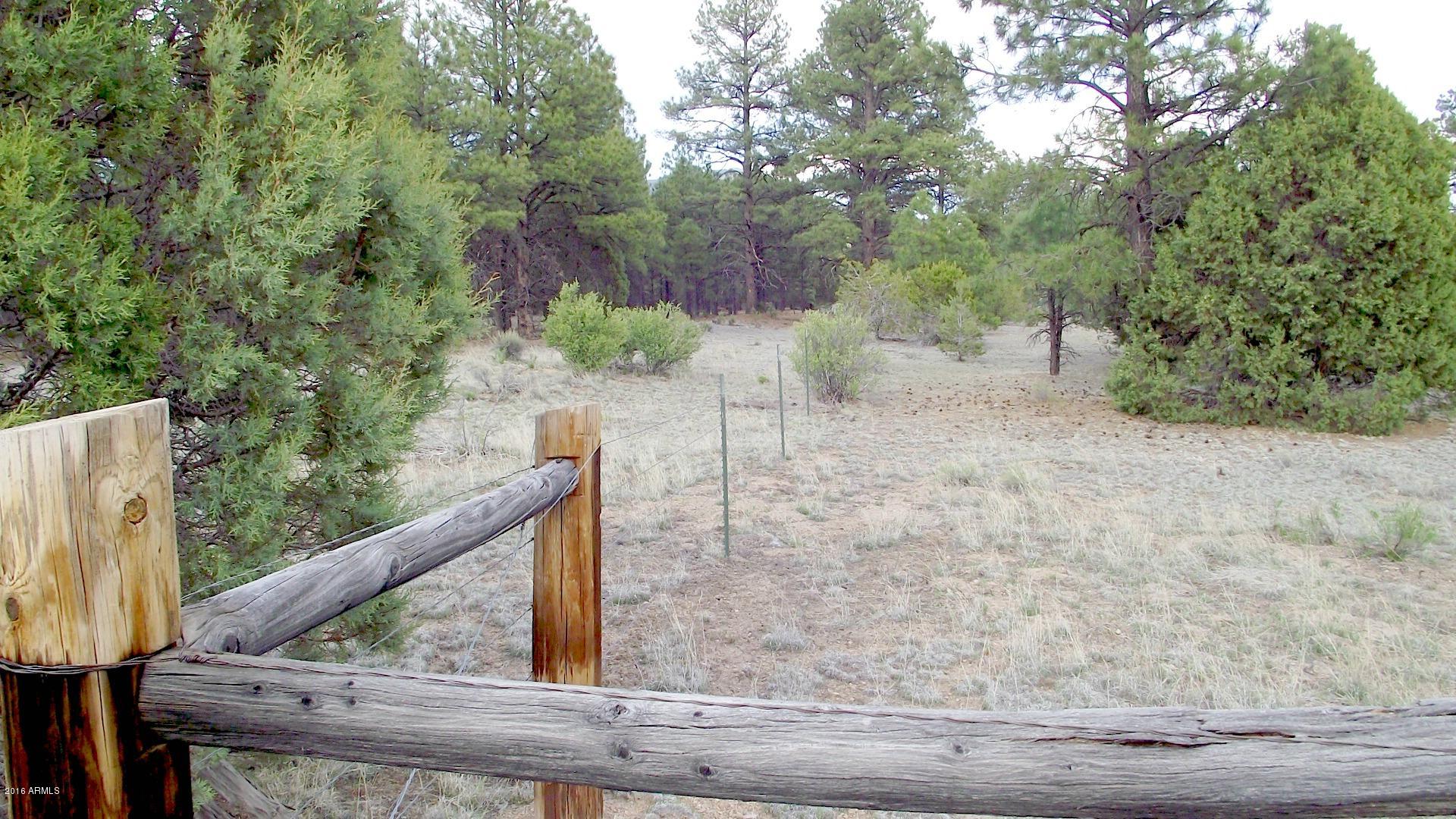 1804 West Rupe Tank Road Williams, AZ 86046 - Photo 5 of 14 DSCF8683